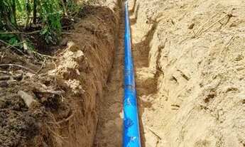 Imagem 4: Vendo excelente Fazenda de limao