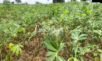 Imagem 6: Chácara de 1 Alqueire | Senador Canedo