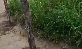 Imagem 4: Lote Terreno / lote com venda por R$14.000