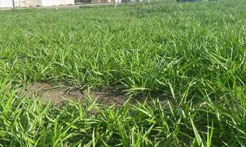 Imagem 4: Ágio de lote Terreno / lote com venda por R$10.000