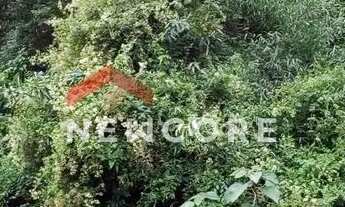 Imagem 3: Lote em rua dos Pinheiros - Alpes Verdes - Canela/RS