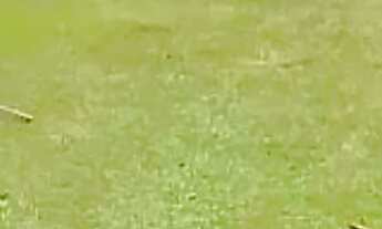 Imagem 3: Casa triplex em AREMPEBE