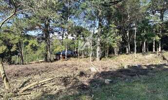 Imagem 3: TERRENO EM LOTEAMENTO DE GRAMADO