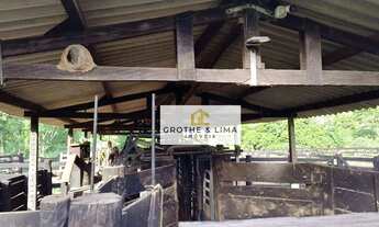 Imagem 3: Fazenda à venda em Cáceres MT