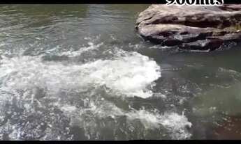 Imagem 2: A&M Imoveis vende Exelente Fazenda com 162hectare Região da Serra Bonita, município de Bu