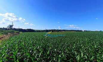 Imagem 4: Chácara à venda, 23405 m² por R$ 1.200.000,00 - São Salvador - Cascavel/PR