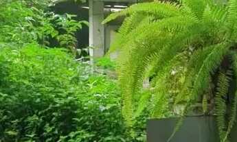 Imagem 3: Casa para residencia ou comercio: conveniência, clinicas, Pet shops, Bairro esta moderni