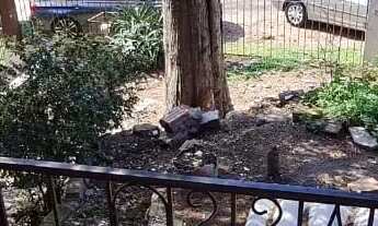 Imagem 3: Casa com 3 dormitórios para alugar, 120 m² por R$ 5.000,00/mês - Espírito Santo - Porto Al