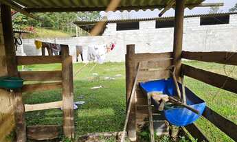 Imagem 2: Terreno plaino com laguinho 43 mil reais