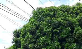 Imagem: Terreno região do CPA III