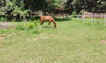 Imagem 3: Sítio 7 Alqueires, Brejão