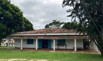 Imagem: HARAS - Itu - SP