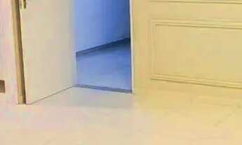 Imagem 5: Excelente Imóvel