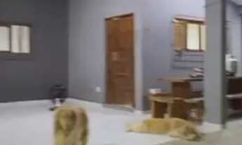 Imagem: Belíssima casa no Bairro dos Bancários