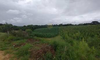 Imagem 5: Chácara à venda, 25.110 m2, Cachoeira - São José dos Pinhais PR