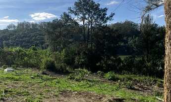 Imagem 2: 100% plano...Matrícula 100