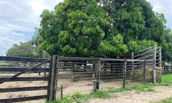 Imagem 2: Fazenda plana em Itapirapuã