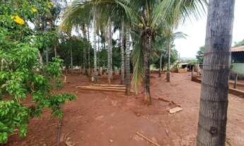 Imagem 5: Ótima propriedade!Oportunidade única