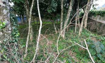 Imagem 4: Terreno à venda em Gramado - Pronto para construir!