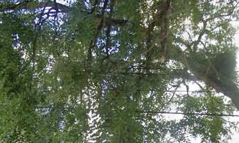 Imagem 2: Terreno com 667 m², à venda no bairro Bela Vista