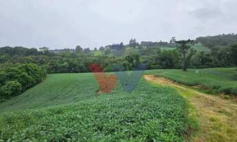 Imagem 2: Área de 79.000 m com 41.000 m mecanizados perfeita para cultivo ou projetos sustentáveis