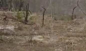 Imagem: Vendo rápido Lote Plano e Barato ponte