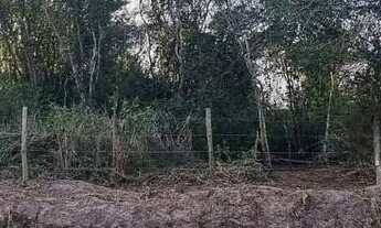 Imagem 2: Terreno 450m² com RGI e escritura em meu nome