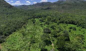 Imagem 3: FAZENDA COM RIO E MUITA ÁGUA