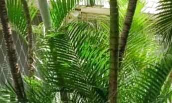 Imagem 6: EDF. BOM CONSELHO