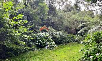 Imagem 7: Lote em Rua 21 - Alpes - São Francisco de Paula/RS