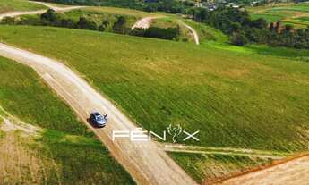 Imagem 2: Faça a escolha certa hoje