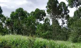 Imagem 7: Terrenos no Interior de SP 1000m² em São Roque para Investir