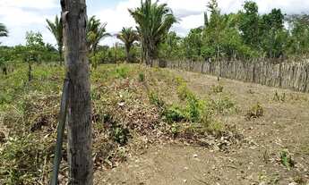 Imagem 5: Imóvel para venda possui 10000 metros quadrados em Quebra Pote - São Luís - MA