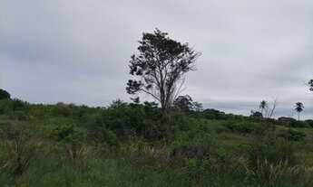 Imagem 4: Granja com 8,5 hectares