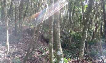 Imagem: VENDO CHÁCARA 1 HECTARE NA FAZENDA FIALHO