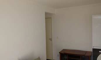 Imagem 5: Spazio Bromelias