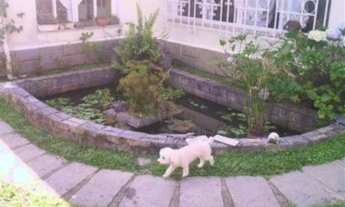 Imagem 2: PETRóPOLIS - Casa Padrão - Quitandinha