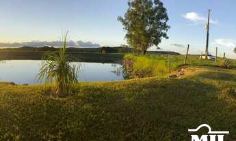 Imagem 3: Fazenda 203 alqueires ( 987 hectares ) Formoso-GO