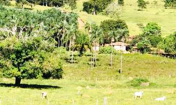 Imagem 7: 10 alqueires com muita agua