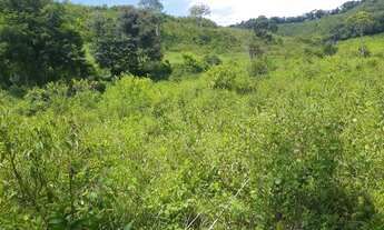 Imagem 4: Sítio em Bias Fortes MG