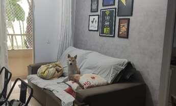 Imagem 6: Apartamento Padrão