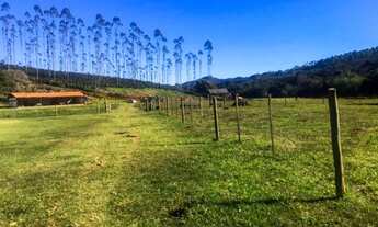 Imagem 6: Excelente Fazenda com 93 Alqueires em Capão Bonito