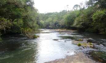 Imagem 3: Fazenda com 1.950 Hectares, Lage SC. Pecuária e Reflorestamento
