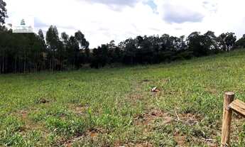 Imagem 5: Área Rural para Venda em ALTO DA SERRA Chapecó-SC