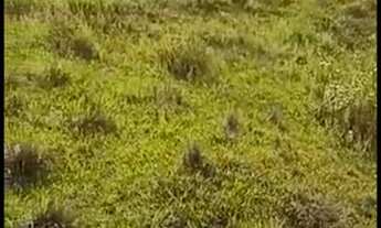 Imagem: CHÁCARA 0,5 ALQ