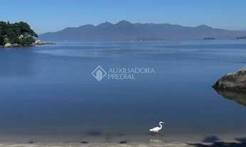 Imagem 6: FLORIANóPOLIS - Apartamento Padrão - Bom Abrigoo