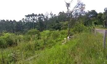 Imagem 6: VENDO CHÁCARA EM GLORINHA