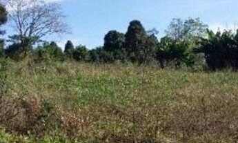 Imagem 2: Área de Terra Frente Asfalto Água Amarela