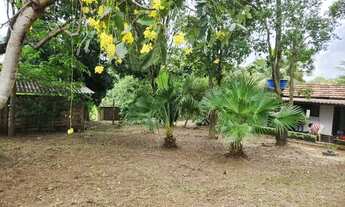 Imagem 6: Chácara para Venda em Alfredo Marcondes, CHÁCARA ALFREDO MARCONDES