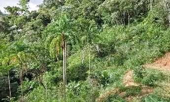 Imagem 3: Excelentes terrenos em Santa Teresa